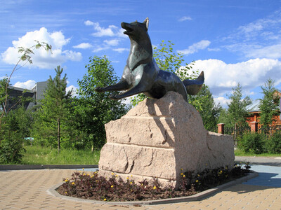 Памятник «Чёрный лис» — один из самых знаковых в городе. Он стоит прямо у входа в Историко-культурный центр «Старый Сургут». Лис почти точь-в-точь копирует изображение зверя на гербе Сургута. Бронзовая лисица была отлита в Санкт-Петербурге, в Международном центре культуры и искусства, и долгое время городские власти не могли решиться, куда она должна «бежать» (так что лис вертелся туда-сюда). В нынешнем виде лиса направляется к дороге.